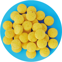 Pastilla Mango Chile